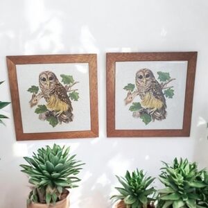 Barred Owl Tile Trivet Framed Decor Wall‎ Hanging USA (2) EUC